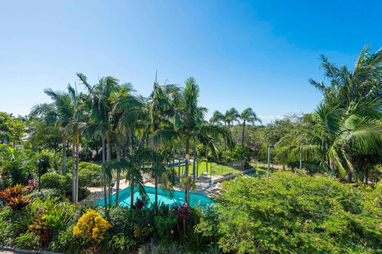 The Oasis Apartments And Treetop Houses Byron Bay Ngoại thất bức ảnh