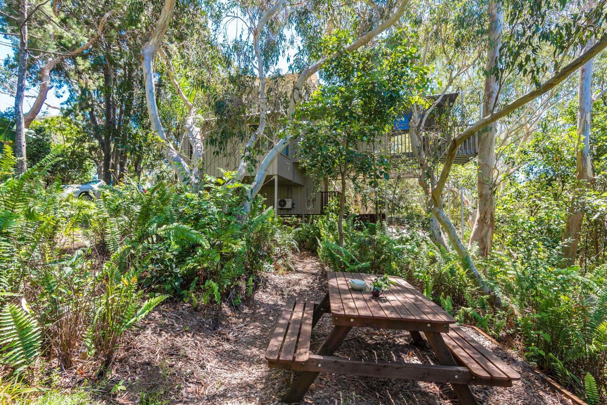 The Oasis Apartments And Treetop Houses Byron Bay Phòng bức ảnh